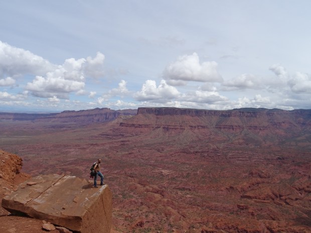 Amplitud de principio a fin!