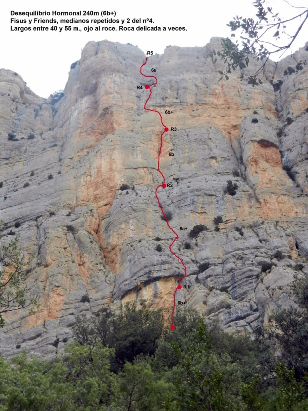 montrebei_deseqhormonal-croquis